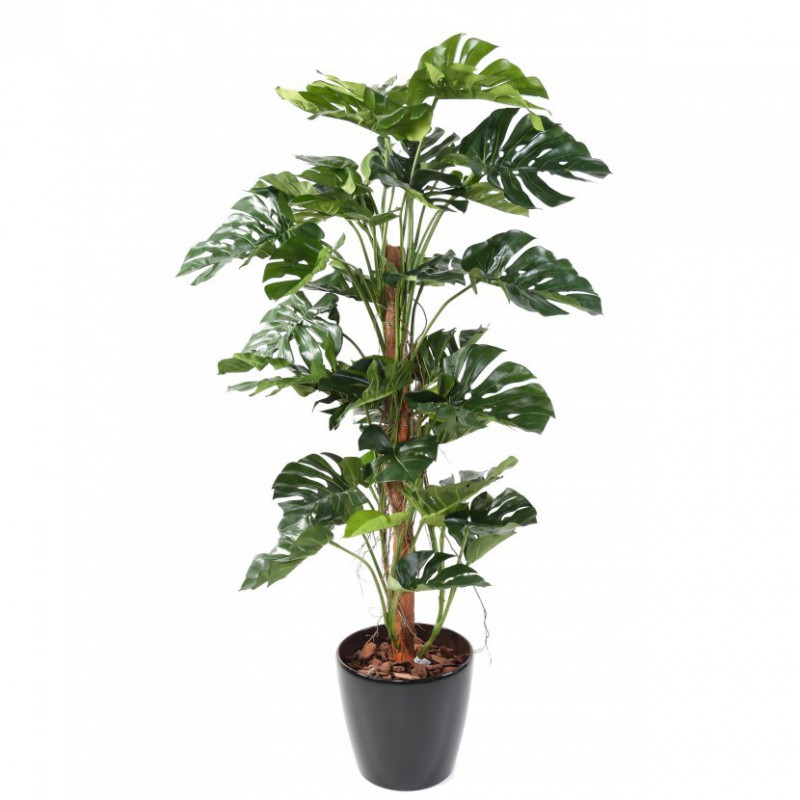 PHILODENDRON ARTIFICIEL TUTEUR COCO NEW