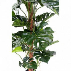 Philodendron Artificiel Tuteur Coco New