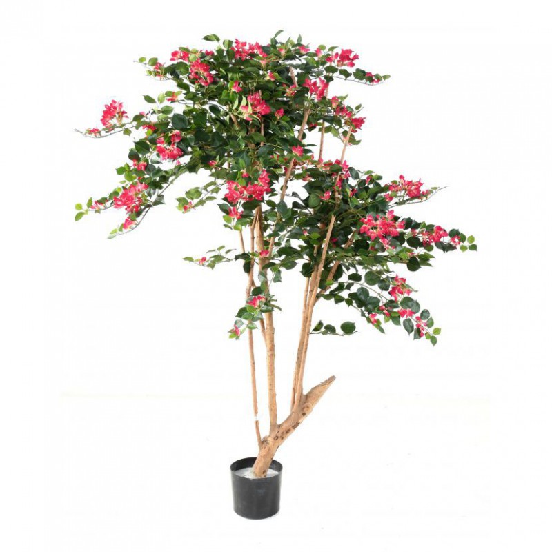 BOUGAINVILLÉE ARTIFICIEL ROOT