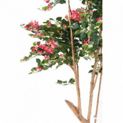 Bougainvillée Artificiel Root