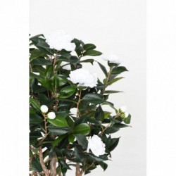 Camelia Artificiel Japonica Double New Blanc