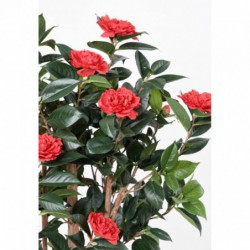 Camelia Artificiel Japonica Double New Rouge