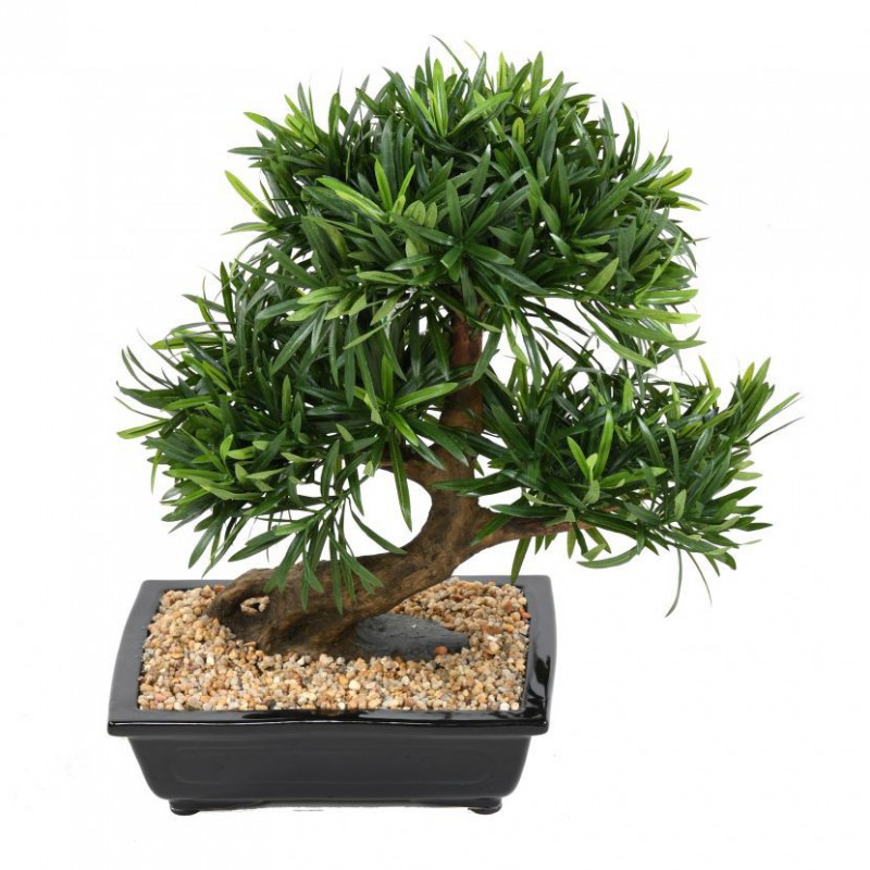 BONSAÏ ARTIFICIEL PODOCARPUS EN COUPE