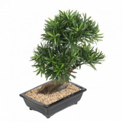 BonsaÏ Artificiel Podocarpus