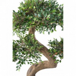 Orme Bonsai Artificiel déco