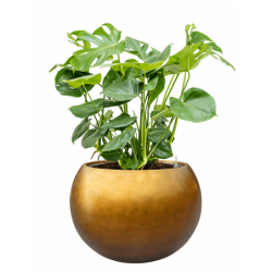 Pot doré décoratif