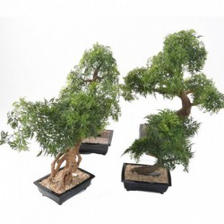 Bonsai Artificiel Aralia