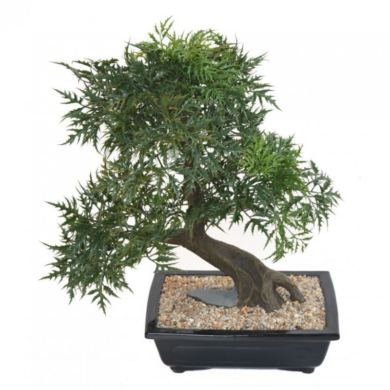 BONSAI ARTIFICIEL ARALIA EN COUPE - 80(h)