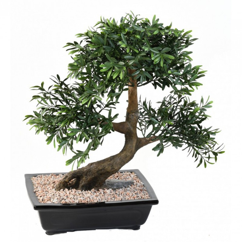 BONSAI ARTIFICIEL BLACK WILLOW EN COUPE - 70(h)