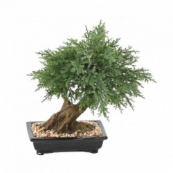 BONSAI JUNIPERUS ARTIFICIEL EN COUPE