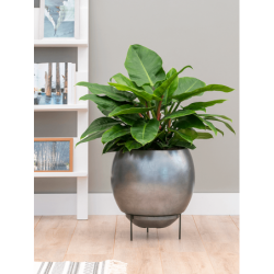 Pot de fleurs sur pieds pour plante