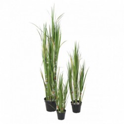 Canne À Sucre Artificielle - 180(h)