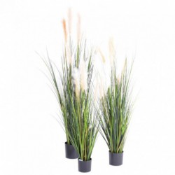 Carex Artificiel Gf - 180(h)