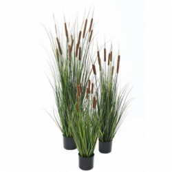 Cattail Artificiel - 150(h)
