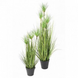 Chrysopogon Artificiel Grass - 60(h)