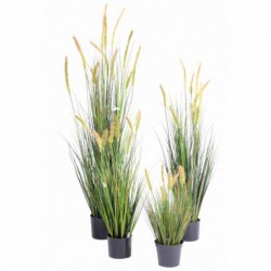 Foxtail Artificiel - 150(h)