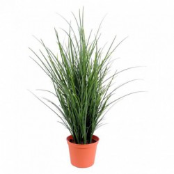 Herbe Artificielle Fine Pot