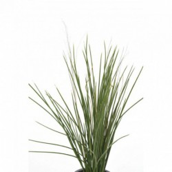 Herbe Artificielle Honey Grass Piquet Uv
