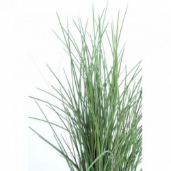 Herbe Artificielle Honey Grass - 115(h)