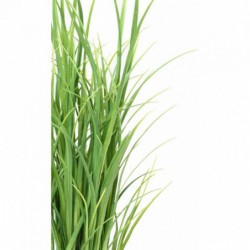 Lemon Grass Artificielle