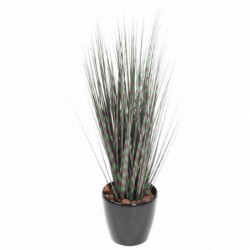 MISCANTHUS ARTIFICIEL ZEBRINA - 90(h)