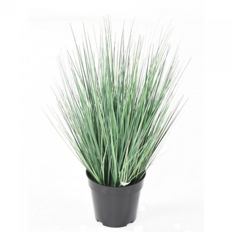 ONION ARTIFICIEL GRASS NEW - 90(h)