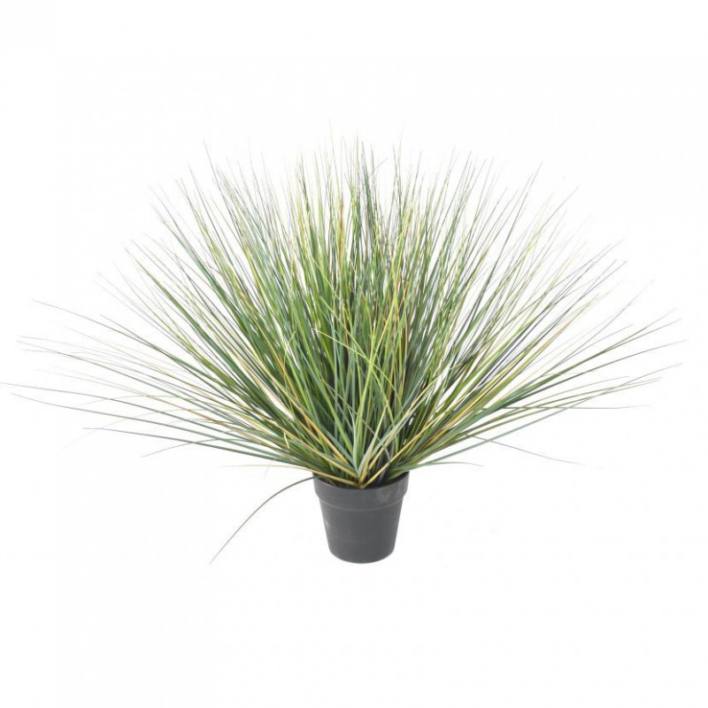 ONION GRASS ARTIFICIEL NEW ROUND - 95(h)