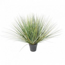 ONION GRASS ARTIFICIEL NEW ROUND - 110(h)