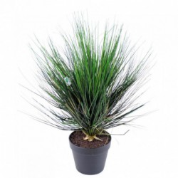 ONION GRASS ARTIFICIEL ROUND
