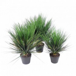Onion Grass Artificiel Round - 75(h)