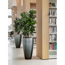 Bac tendance pour intérieur