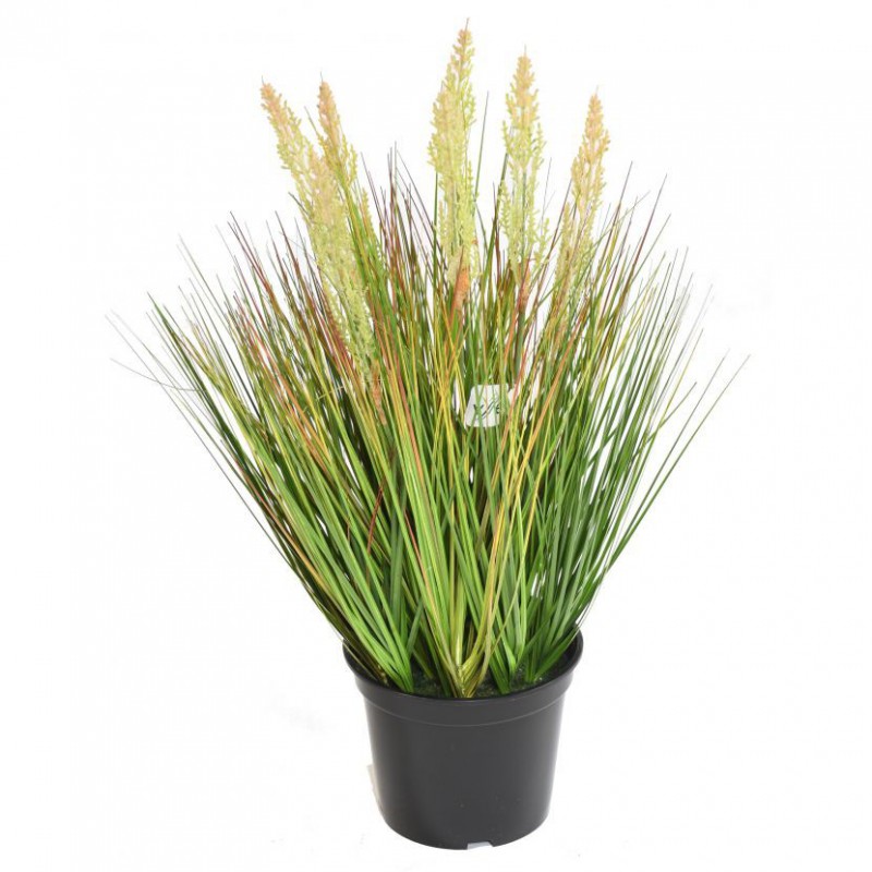 ONION ARTIFICIEL GRASS GRAINE - 60(h)
