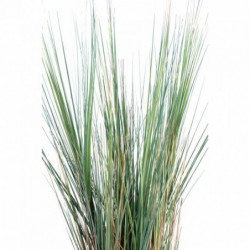 Onion Grass Artificiel