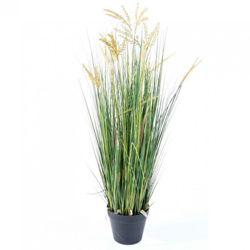PAPYRUS ARTIFICIEL SCIRPUS VALIDUS - 90(h)