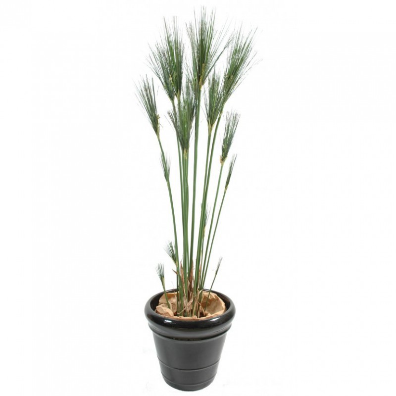 PAPYRUS ARTIFICIEL CYPERUS - 155(h)