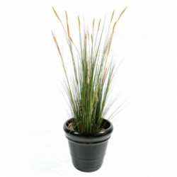 ZANICHELLIE ARTIFICIELLE - 95(h)