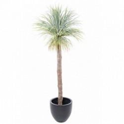 AGAVE ARTIFICIELLE GEANT