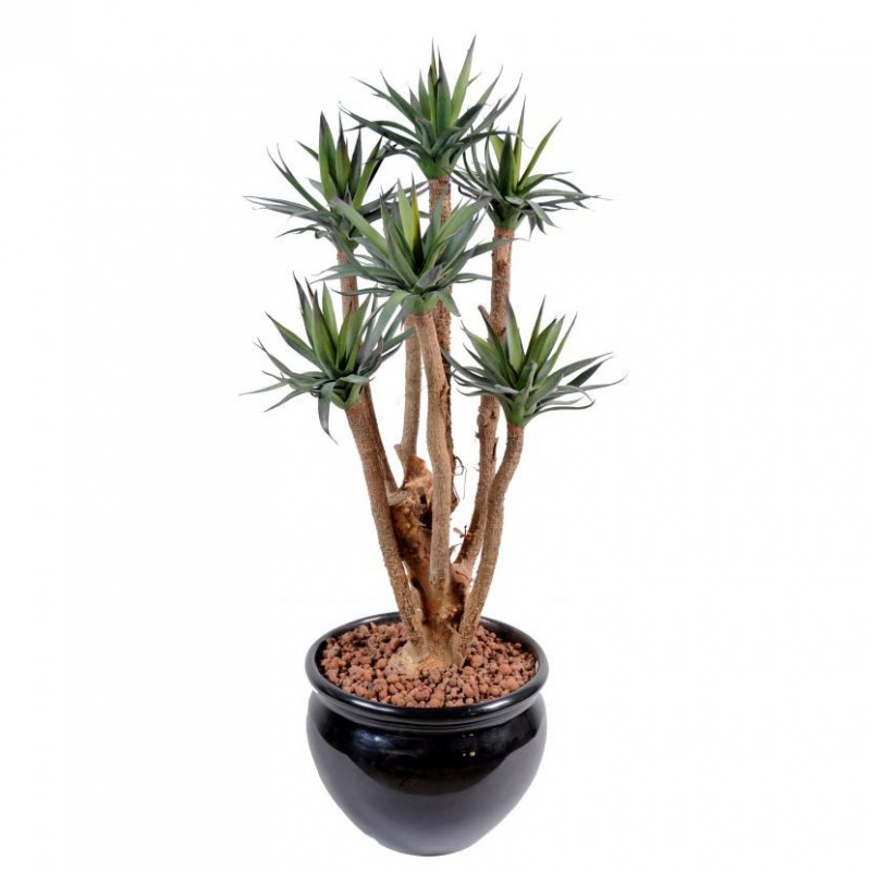 AGAVE ARTIFICIELLE - 72(h)