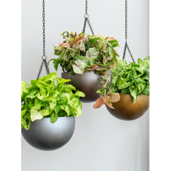 Pots suspendus toutes les couleurs