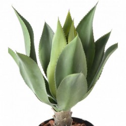 Agave Artificielle L - 75(h)