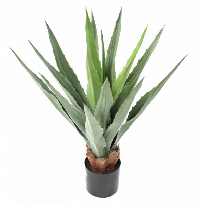 AGAVE ARTIFICIELLE FURCRAEA V - 80(h)
