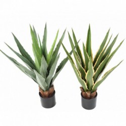 Agave Artificielle Furcraea V - 110(h)
