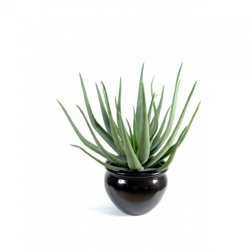 ALOEVERA ARTIFICIELLE - 55(h)