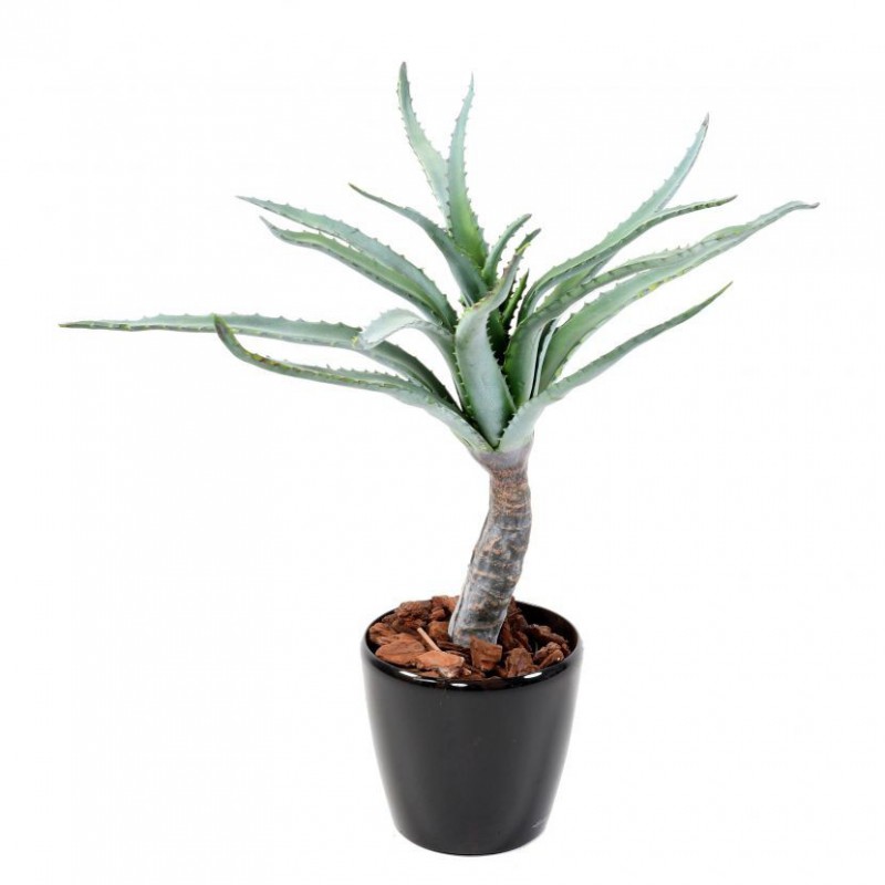 ALOE ARTIFICIEL TRONC