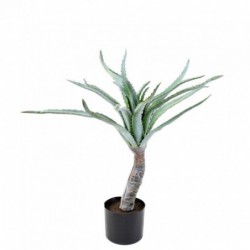 Aloe Artificiel Tronc