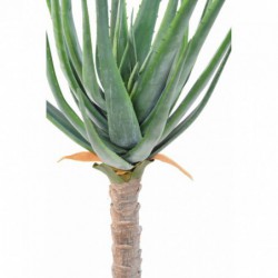 Aloevera Artificielle 125
