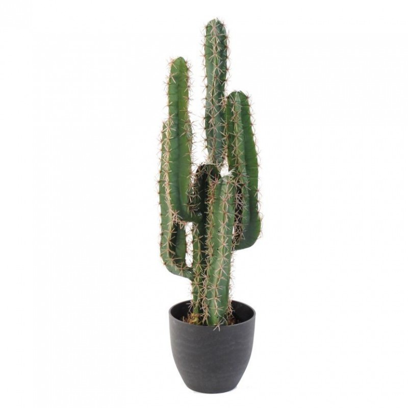 CACTUS ARTIFICIEL FINGER - 75(h)