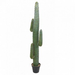 Cactus Artificiel Mexico Gr