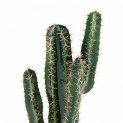 Cactus Artificiel Cereus - 160(h)