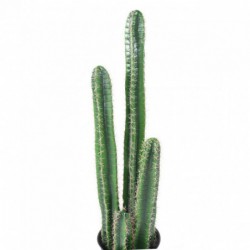 Cactus Artificiel Barel